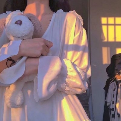 南拳蔡李佛国语